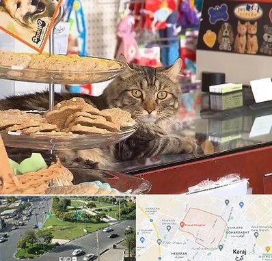 فروشگاه لوازم گربه در شاهین ویلا کرج
