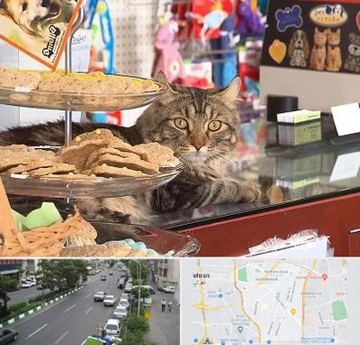 فروشگاه لوازم گربه در ستارخان 