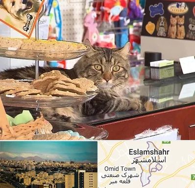 فروشگاه لوازم گربه در اسلامشهر