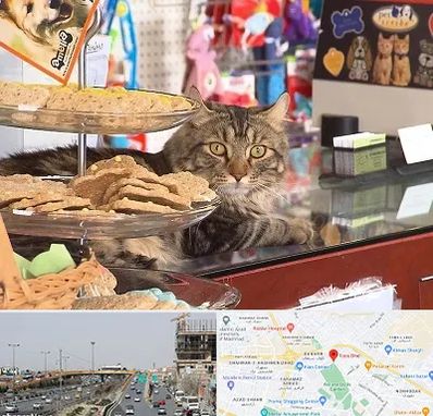 فروشگاه لوازم گربه در بلوار توس مشهد