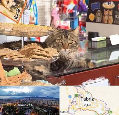 فروشگاه لوازم گربه در تبریز