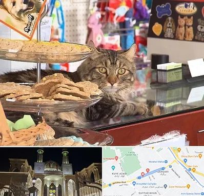 فروشگاه لوازم گربه در زرگری شیراز