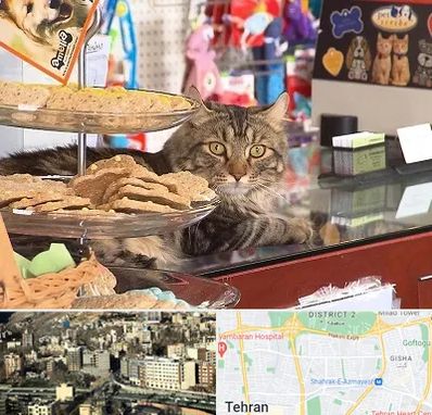 فروشگاه لوازم گربه در مرزداران 
