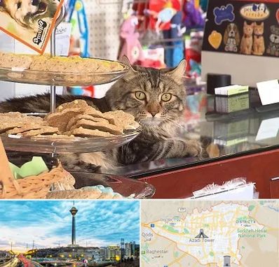 فروشگاه لوازم گربه در تهران