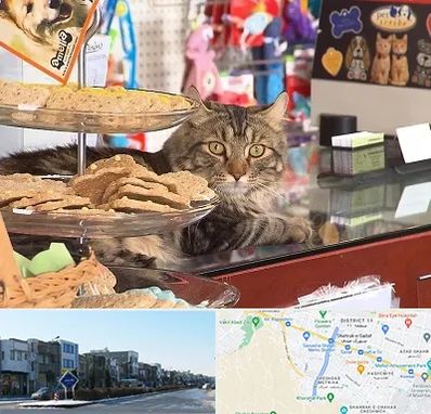 فروشگاه لوازم گربه در شریعتی مشهد