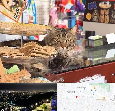 فروشگاه لوازم گربه در هفت تیر مشهد