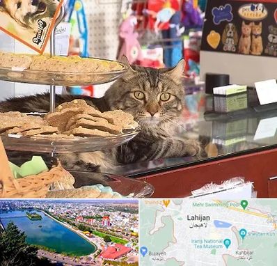 فروشگاه لوازم گربه در لاهیجان