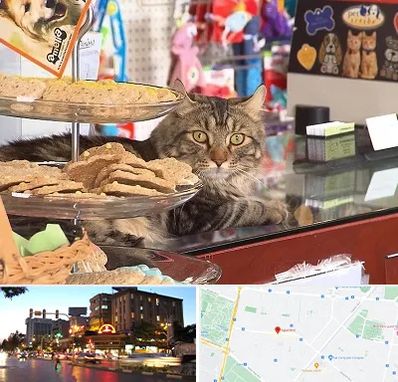 فروشگاه لوازم گربه در بلوار سجاد مشهد