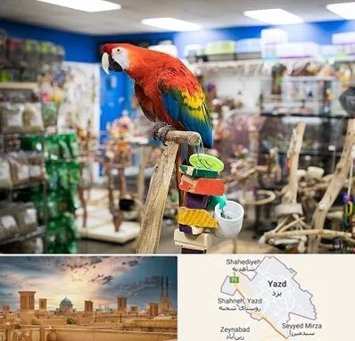 فروشگاه لوازم پرندگان در یزد