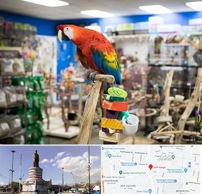 فروشگاه لوازم پرندگان در کارگر جنوبی
