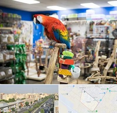 فروشگاه لوازم پرندگان در کیانمهر کرج