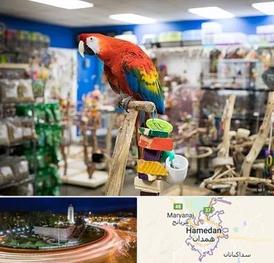 فروشگاه لوازم پرندگان در همدان