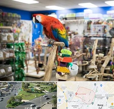 فروشگاه لوازم پرندگان در شاهین ویلا کرج