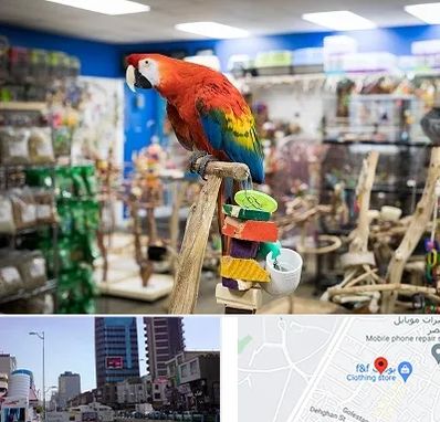 فروشگاه لوازم پرندگان در چهارراه طالقانی کرج