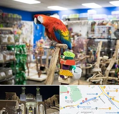 فروشگاه لوازم پرندگان در زرگری شیراز