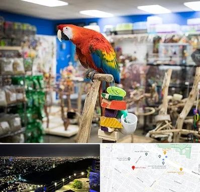 فروشگاه لوازم پرندگان در هفت تیر مشهد