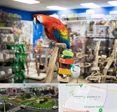 فروشگاه لوازم پرندگان در تهرانسر 