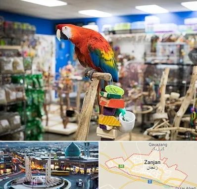 فروشگاه لوازم پرندگان در زنجان