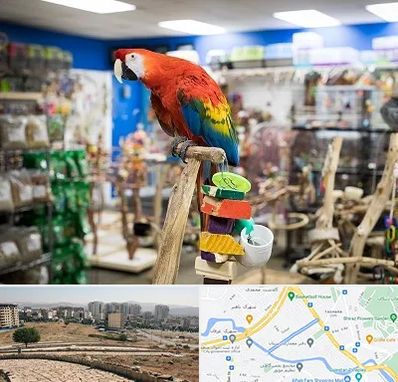 فروشگاه لوازم پرندگان در کوی وحدت شیراز