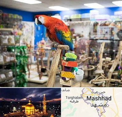فروشگاه لوازم پرندگان در مشهد