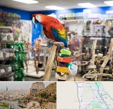 فروشگاه لوازم پرندگان در فرهنگ شهر شیراز