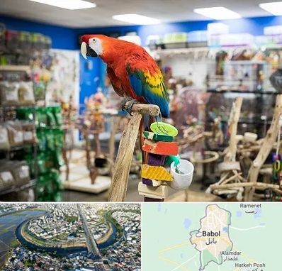 فروشگاه لوازم پرندگان در بابل