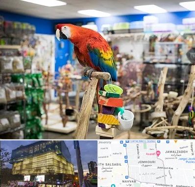 فروشگاه لوازم پرندگان در جمهوری 