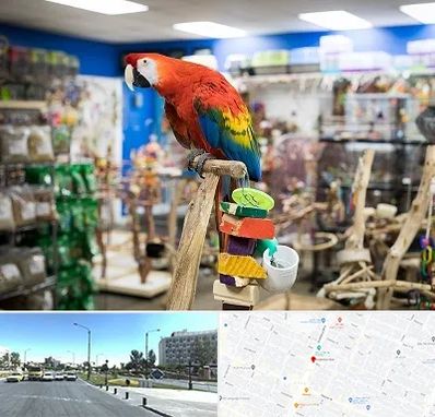 فروشگاه لوازم پرندگان در بلوار کلاهدوز مشهد
