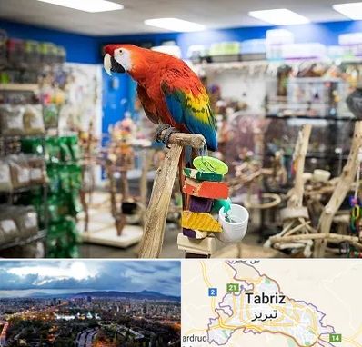 فروشگاه لوازم پرندگان در تبریز