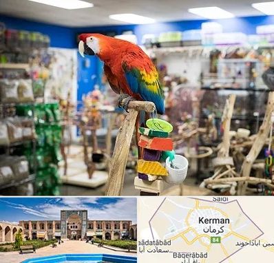 فروشگاه لوازم پرندگان در کرمان
