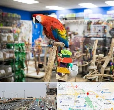 فروشگاه لوازم پرندگان در بلوار توس مشهد
