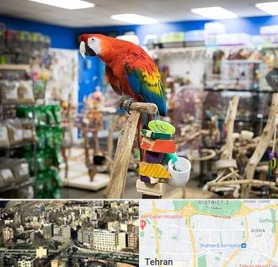 فروشگاه لوازم پرندگان در مرزداران 