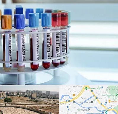 آزمایشگاه ژنتیک در کوی وحدت شیراز