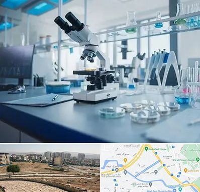 آزمایشگاه تیروئید در کوی وحدت شیراز