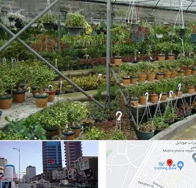 بازار گل و گیاه در چهارراه طالقانی کرج