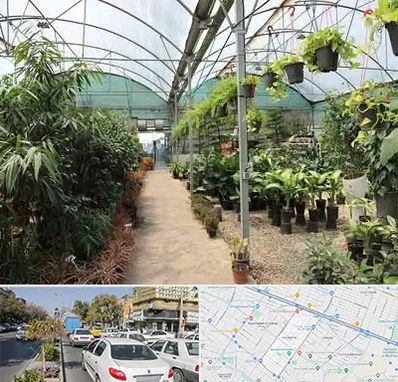 مرکز فروش گل و گیاه در مفتح مشهد
