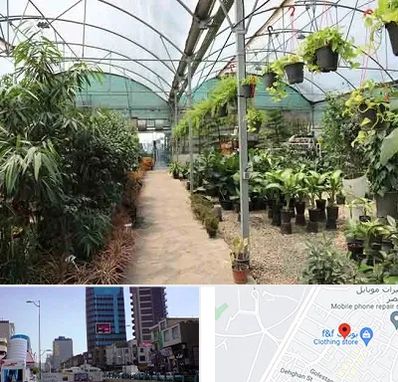 مرکز فروش گل و گیاه در چهارراه طالقانی کرج