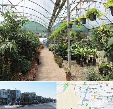 مرکز فروش گل و گیاه در شریعتی مشهد
