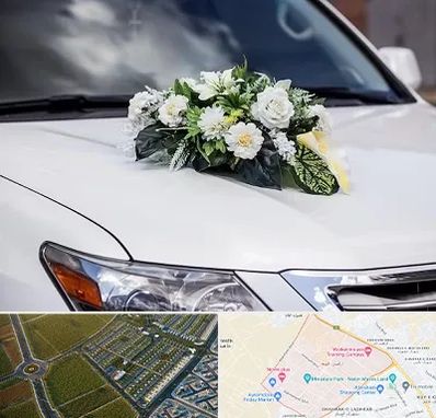 گل آرایی ماشین عروسی در الهیه مشهد