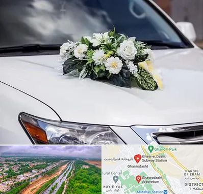 گل آرایی ماشین عروسی در قصرالدشت شیراز
