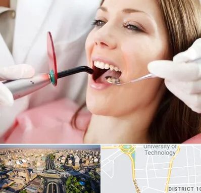 متخصص درمان ریشه دندان در استاد معین 