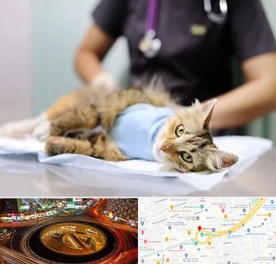عقیم سازی گربه در میدان ولیعصر