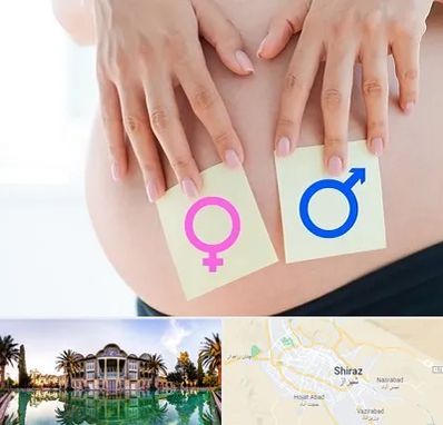 کلینیک تعیین جنسیت در شیراز
