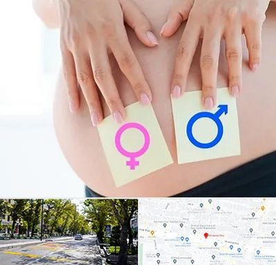 کلینیک تعیین جنسیت در میرداماد
