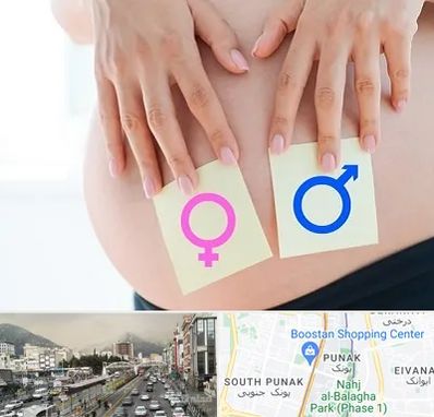 کلینیک تعیین جنسیت در پونک 