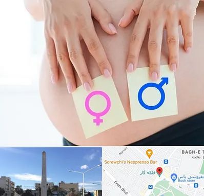 کلینیک تعیین جنسیت در فلکه گاز شیراز