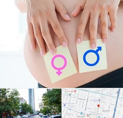 کلینیک تعیین جنسیت در امامت مشهد