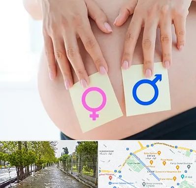 کلینیک تعیین جنسیت در خیابان ارم شیراز