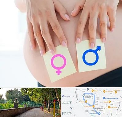 کلینیک تعیین جنسیت در بلوار گیلان رشت