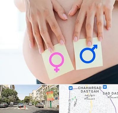 کلینیک تعیین جنسیت در چهارصد دستگاه 